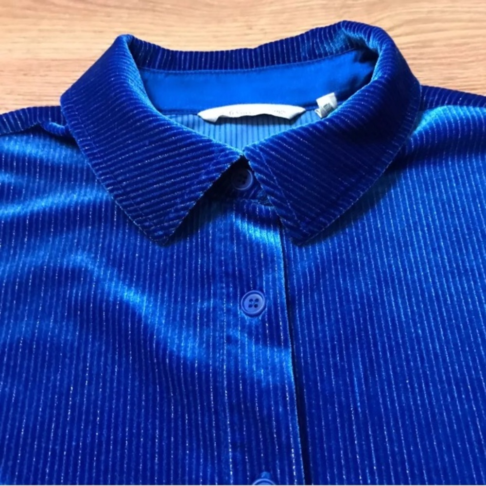 Royal Blue Velvet Button-up Blouse | Large | Soft Surroundings | Silver Stripes - Picture 11 of 16